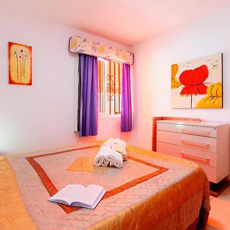 113 Cactus 로스크리스티아노스