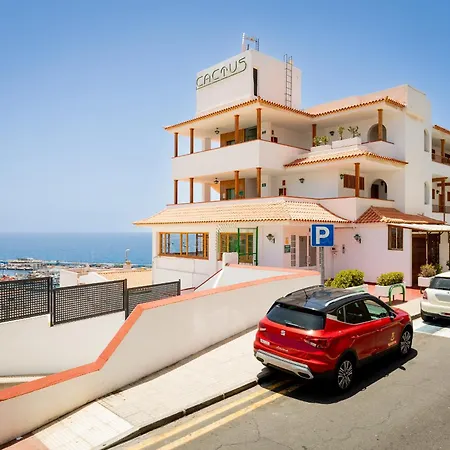 113 Cactus 로스크리스티아노스